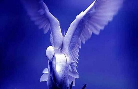 深蓝孩童恐怖真相 深蓝儿童十大觉醒征兆多次预言悲惨事件