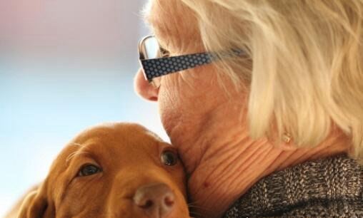 阳寿已尽的老人表现 别人眼睛里看不到自己影子(13种表现)