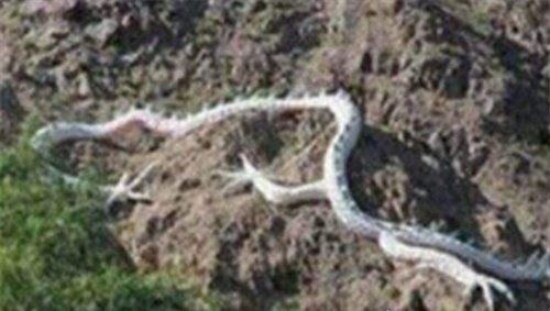 中央不敢报昆仑山之谜揭秘 神秘天雷造成死亡谷遍地骸骨