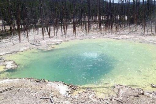 2016达尔文奖获得者是谁？揭秘2016年达尔文奖精选