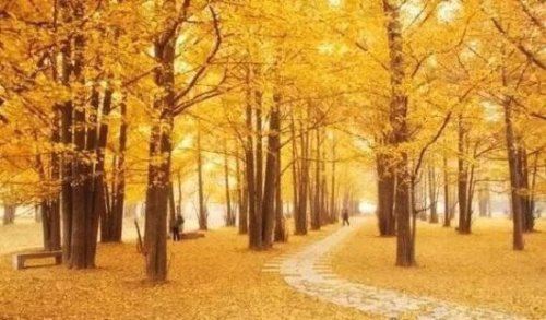 中国12月份雅称大全 盘点古人对月份的雅称(每一个都独具诗意)