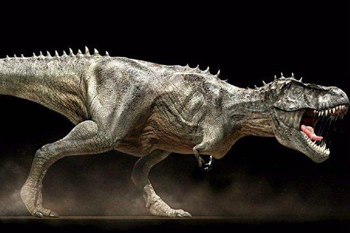 亚洲现霸王龙足迹 亚洲第一次发现霸王龙足迹在什么地方？