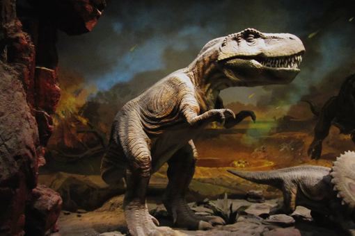 亚洲现霸王龙足迹 亚洲第一次发现霸王龙足迹在什么地方？