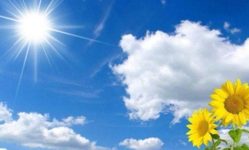 阳光明媚的意思是什么？