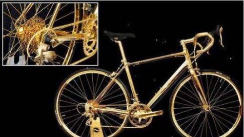 全球最贵自行车 蝴蝶Trek Madone自行车(成交价50万美元)