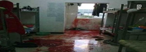 马加爵放过的唯一舍友林风 一碗饭保住一条命(马加爵事件回顾)