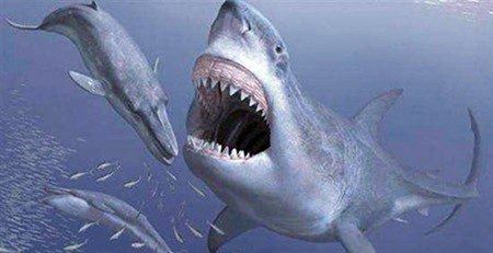 盘点史前十大海洋霸主 梅尔维尔鲸称霸