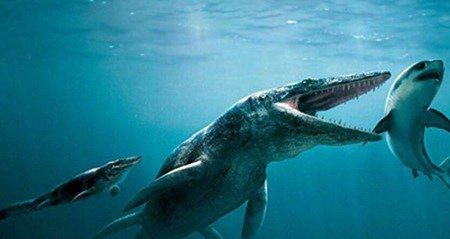 盘点史前十大海洋霸主 梅尔维尔鲸称霸