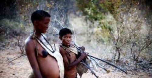 世界上唯一双目失明的民族 盲族血液中尾线虫影响视觉