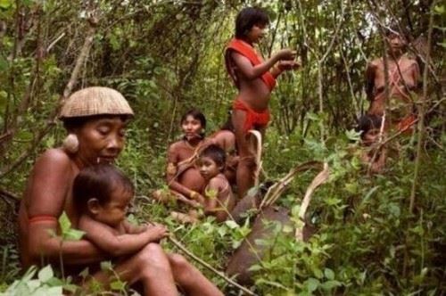 世界上唯一双目失明的民族 盲族血液中尾线虫影响视觉