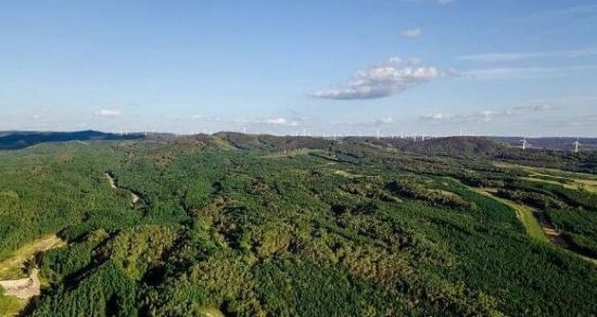 地球比20年前更绿了 中国和印度为地球变绿做出巨大贡献