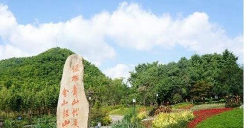 地球比20年前更绿了 中国和印度为地球变绿做出巨大贡献