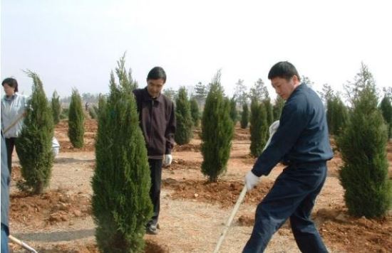 地球比20年前更绿了 中国和印度为地球变绿做出巨大贡献