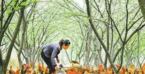 小本投资创业项目有哪些？