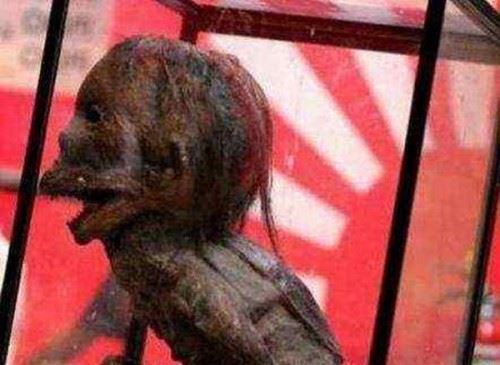 水猴子长什么样的？水猴子水鬼图片揭秘恐怖至极