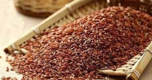 色泽红润软糯香甜 8000元一斤的大米（玉田胭脂米）