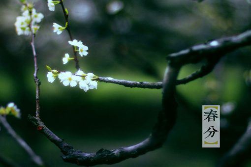 2019春分是哪一天？春分为什么要竖蛋？