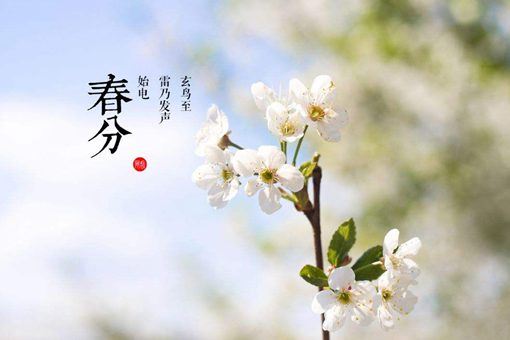 2019春分是哪一天?春分为什么要竖蛋?