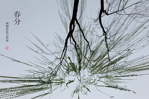 2019春分是哪一天?春分为什么要竖蛋?