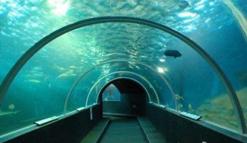 世界上最长的海底隧道 大连烟台海底隧道全长123公里