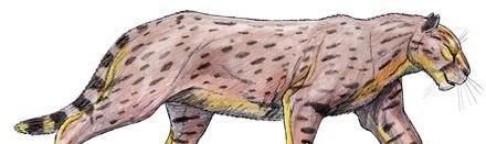 世界十大禁养名猫盘点 老虎排第一狮子排第二(白送你都不敢养)