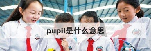 pupil是什么意思？