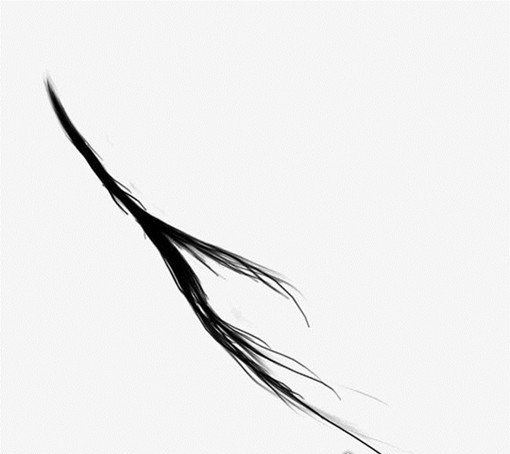 民间十件东西不能捡是哪十件 供奉的祭品不要碰(不吉利)