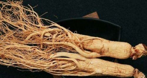 世界上最老的人参 已存放近千年（公认的大补食材）