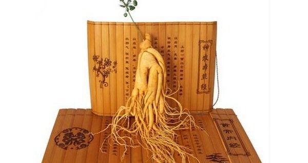 世界上最老的人参 已存放近千年（公认的大补食材）