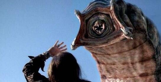 世界上最恐怖图片大全 晚上看千万别回头(胆小慎入)