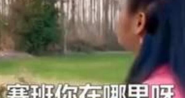 抖音塞班是什么意思什么梗 大家都认为外国女子在找狗