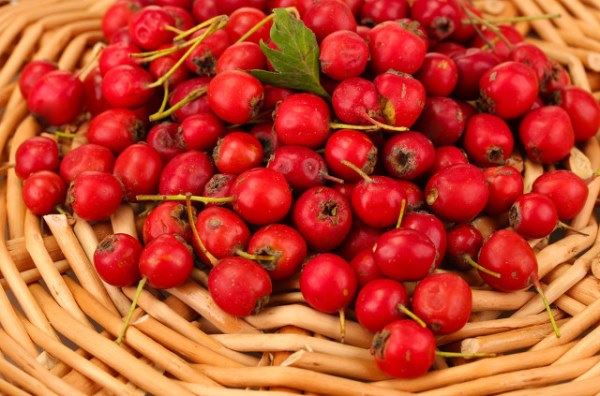 山楂美食做法推荐 酸甜党的味觉盛宴