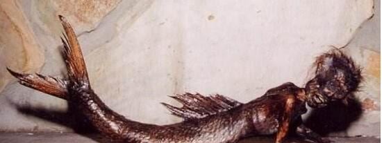 美人鱼图片大全 美人鱼真身吓人图片(原来并不美)