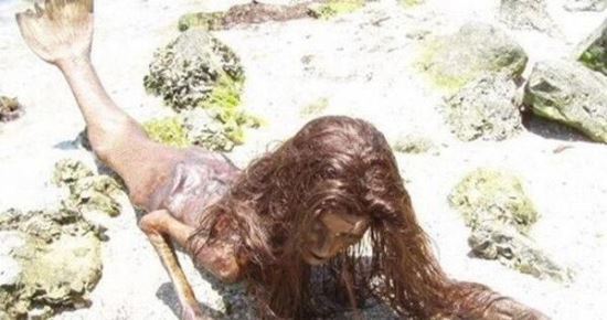 美人鱼图片大全 美人鱼真身吓人图片(原来并不美)