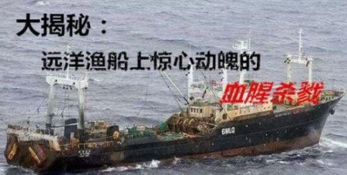 鲁荣渔2682号惨案回顾 利益纠纷导致刘贵夺等人杀害22人