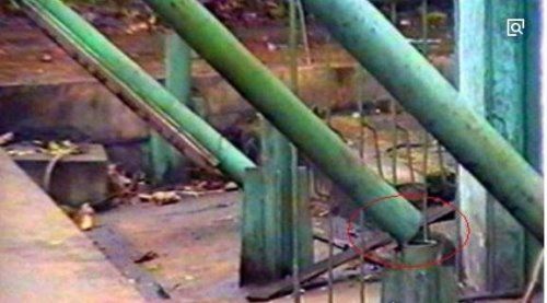 揭秘贵阳空中怪车事件真相 400亩松林瞬间被拦腰斩断