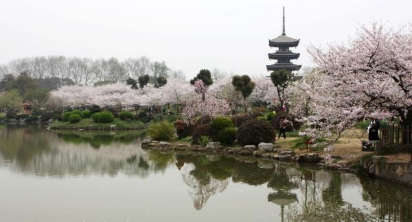 武汉是哪个省的?武汉属于哪个省份?