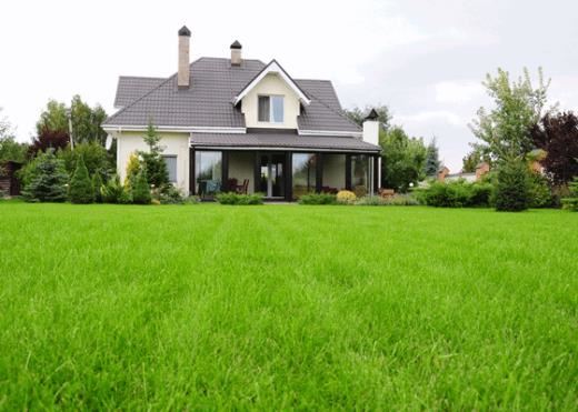 early什么意思？