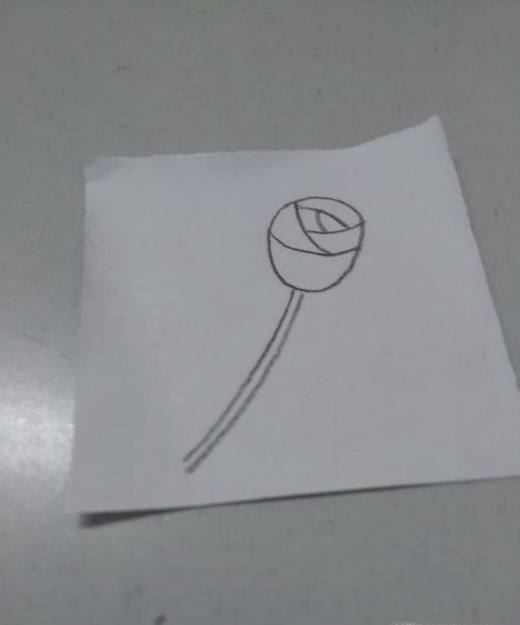 简单漂亮玫瑰花的画法步骤图