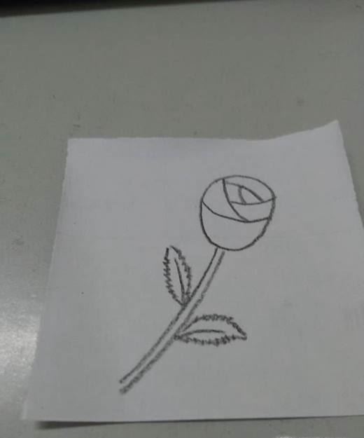 简单漂亮玫瑰花的画法步骤图