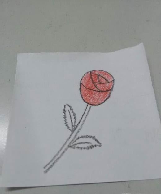 简单漂亮玫瑰花的画法步骤图