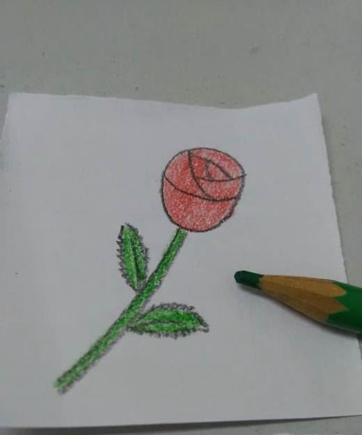 简单漂亮玫瑰花的画法步骤图