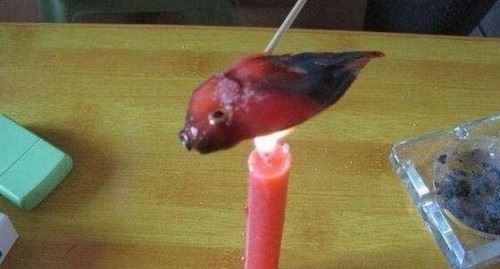 天涯曝光虐鱼女图片 女子直播烧烤金鱼给男友吃残忍