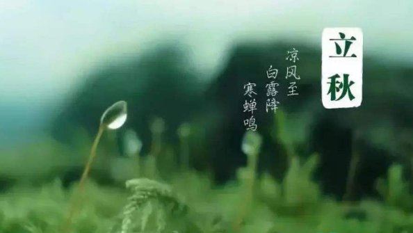 2022年立秋是早立秋还是晚立秋