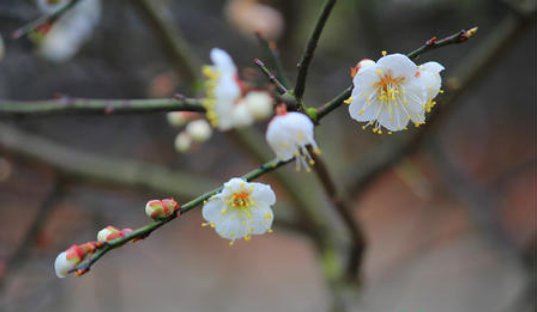 2022年打春几点几分几秒