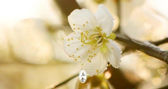 2022年打春几点几分几秒