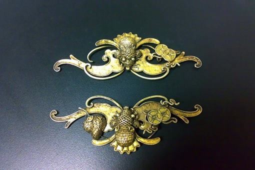 家里蝙蝠打死会报仇吧？把蝙蝠打死有事吗？