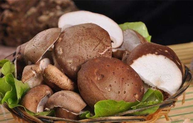 尿酸高不能吃什么 嘌呤高的食物一览表