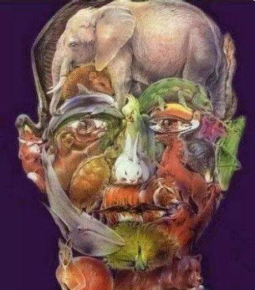 智商160的人才能看懂的图片 看懂最后一张算你狠（快来挑战）