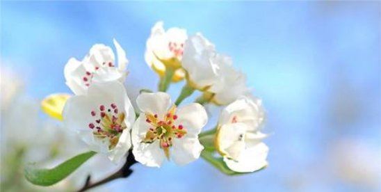 今年五一劳动节放几天假 2022五一为什么放5天